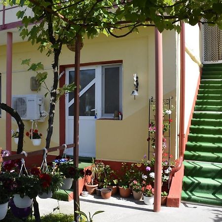 Vila Gabi Costinesti Exterior foto