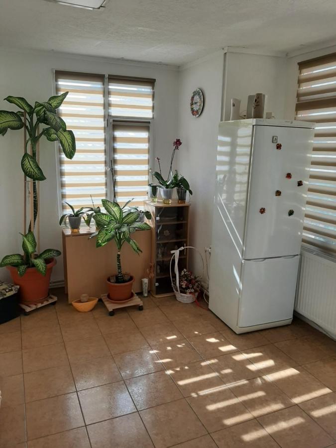 Vila Gabi Costinesti Exterior foto