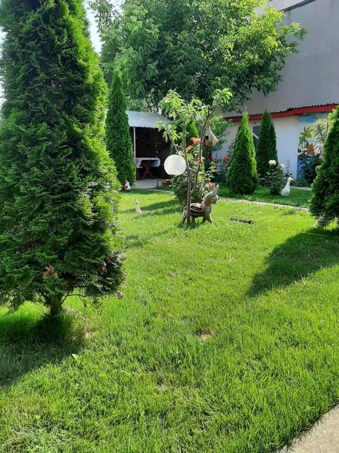 Vila Gabi Costinesti Exterior foto