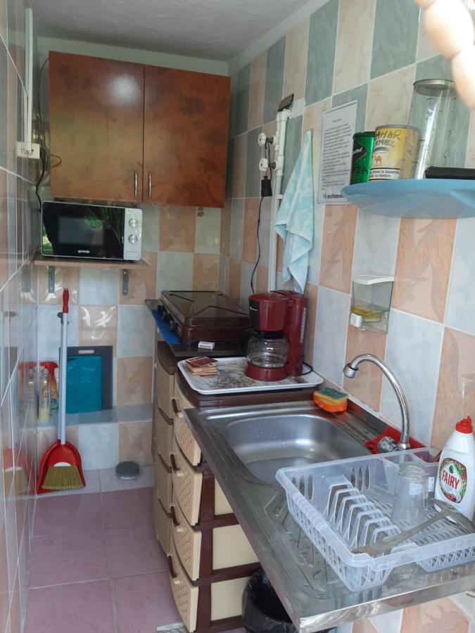 Vila Gabi Costinesti Exterior foto